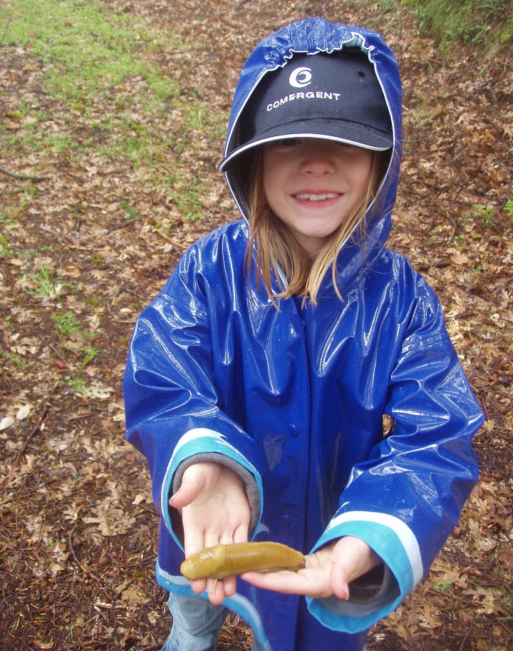 Banana Slug